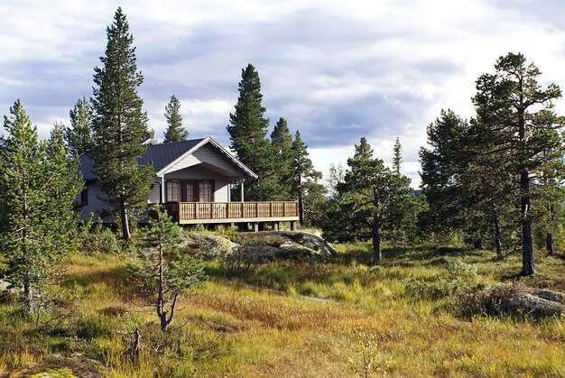 Nature Holiday Homes & Apartments | Cozy Nature Houses & Cabins