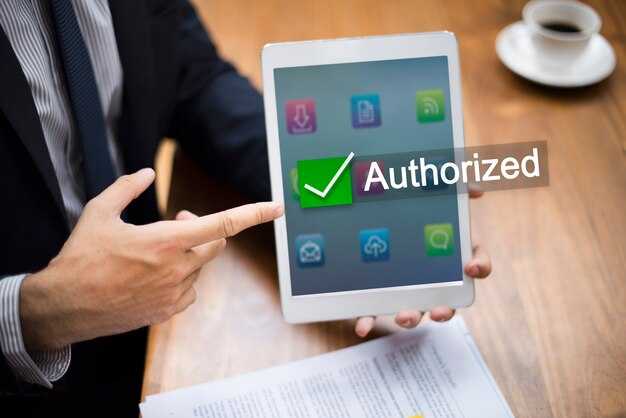 Responsible Machine Translation in Government - Guidelines for Accuracy