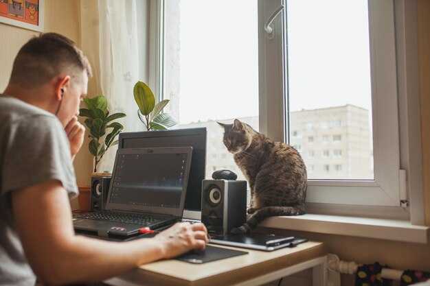 What Is a CAT Tool? A Comprehensive Computer-Assisted Translation Guide for 2026